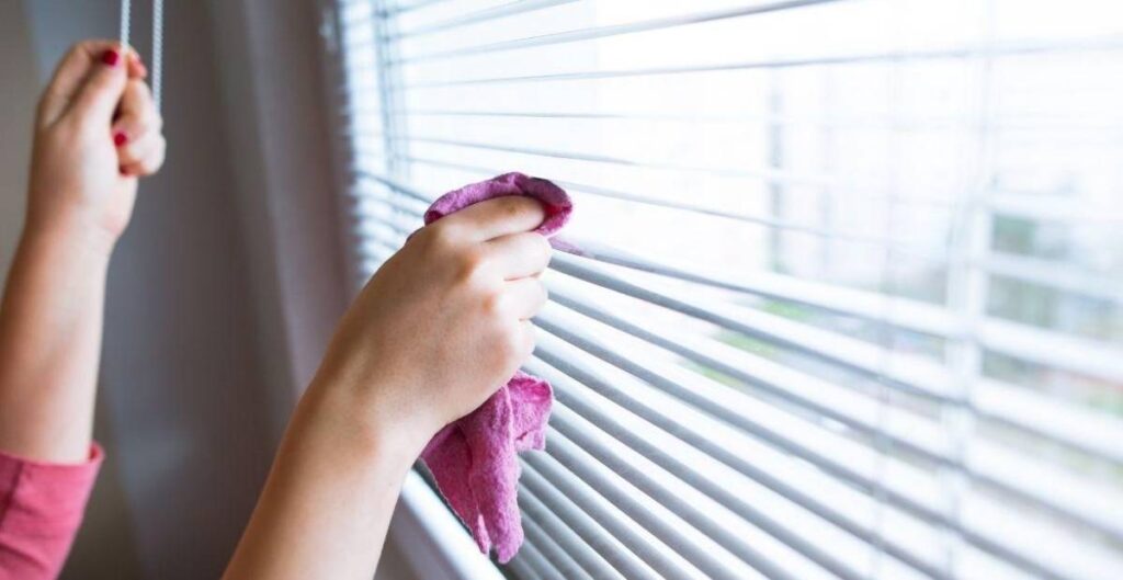 End of Tenancy Cleaning for Pet Owners