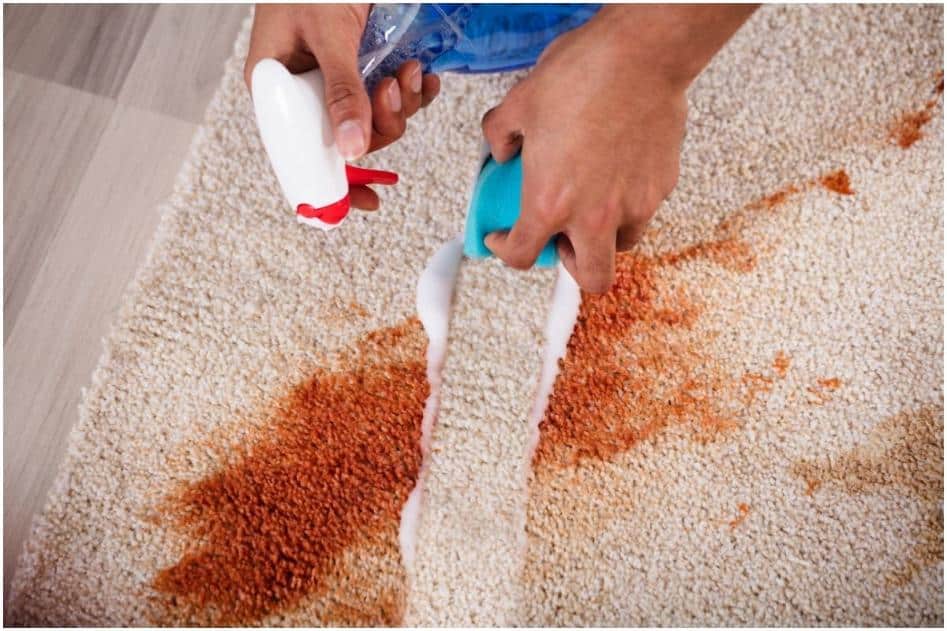 end of tenancy cleaning with carpet cleaning
